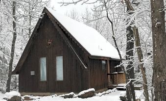 Norfork Lake Ozark Mountain Lodge