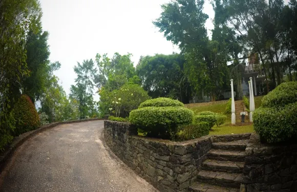 紫色太陽度假村