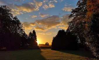 a beautiful sunset over a grassy field , with trees casting long shadows on the ground at Cleatham Hall