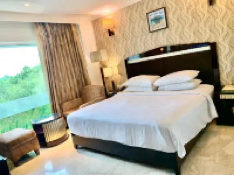 Venizia Sarovar Portico Hotels near Miranda House