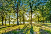 Days Inn by Wyndham Hernando Hotels in Hernando