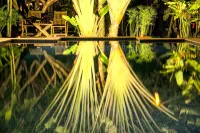 Maisons Wat Kor Hotels in Battambang