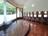 Kamikochi Alpen Hotel