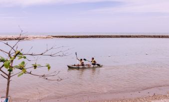 Coconut Island Carita