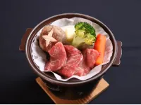 Hotel Tsunogami Hôtels à : Aga