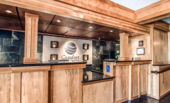 Comfort Inn & Suites Vancouver Downtown City Center