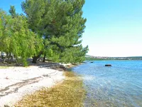 Dragica