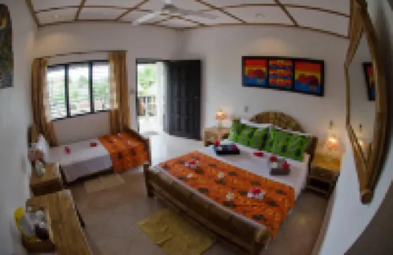 Dolphin House Resort Spa Diving