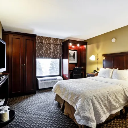Hampton Inn Detroit/Madison Heights/South Troy Area