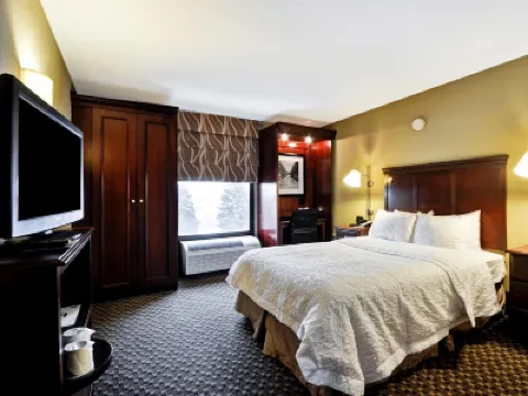 底特律-麥迪遜高地-南特洛伊歡朋飯店 住宿飯店