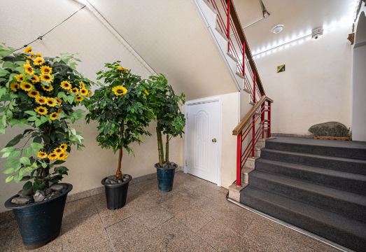 다이애나궁모텔