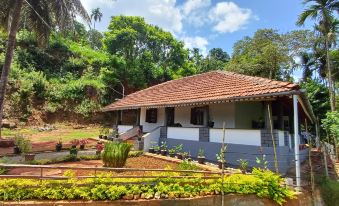 a small , white and blue house surrounded by lush green trees , situated in a tropical environment at Lazy Days