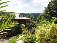 Rising Sun Guesthouse Hotels near La Digue