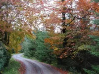 Clancys of Glenfarne Hotels in Leitrim