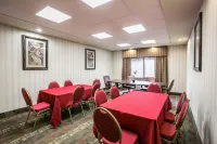 Comfort Inn & Suites Airport Convention Center