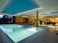 Balneo Hotel Zsori Thermal & Wellness - Pools