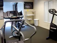 Fairfield Inn & Suites Mount Vernon Rend Lake - Gym