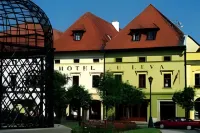 Hotel U Leva - spa