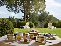 Castel 'Provence Hotels in Valbonne