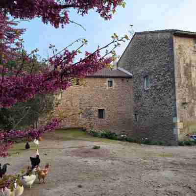 Le gite de Fanny Moulin de Tartay Avignon Hotel Exterior