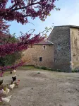 Fanny's cottage Moulin de Tartay Avignon Hotels near أفينون