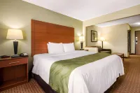 Quality Inn & Suites Wisconsin Dells Downtown - Waterparks Area Hotels in Wisconsin Dells