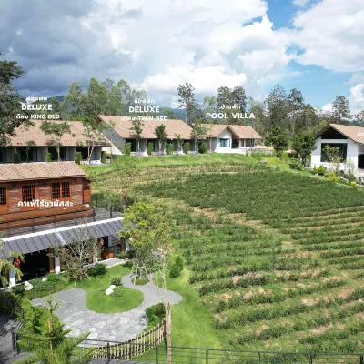 帕西茶園-湄昂 鄰近泰國水燈節的酒店
