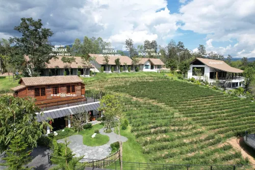 PASSA Tea Plantation @Mae On Hotels in Mae On