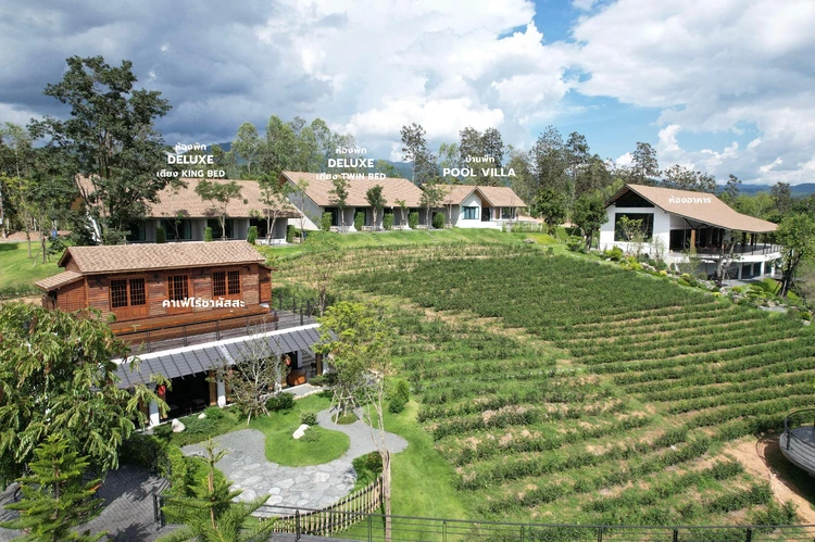 รูปภาพของPASSA ผัสสะ Tea Plantation @Mae On