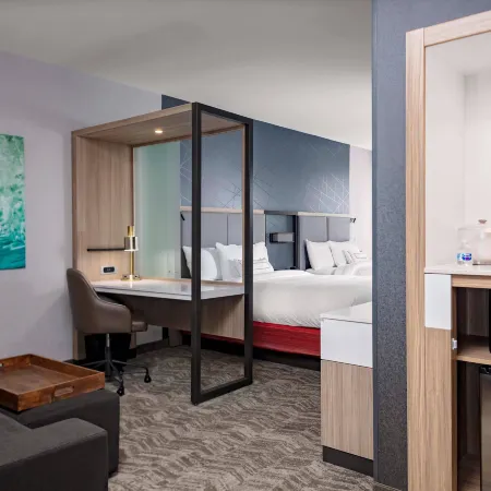 SpringHill Suites Kansas City Plaza Отели рядом с достопримечательностью «Стадион «Эрроухед»»