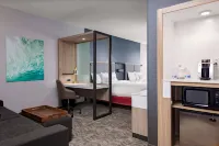 SpringHill Suites Kansas City Plaza - Business