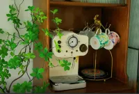 心迪姐民宿（紅專街分店）