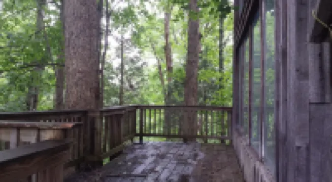 RockinC Cabin. Private cabin in the tall trees. On a120 acre farm.