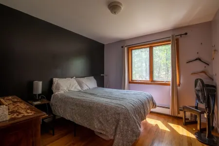 Peaceful woodsy retreat with stream and hiking on property / near Bethel Woods Отели в г. Кошектон