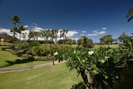 Breathtaking Condo - Ocean View - Now with AC!