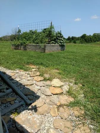 MY Happy Place - View of Ark from Our Farm Отели в г. Грант