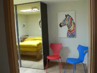 Beautiful apartment in the heart of the medieval town with private garage Hôtels à proximité de : Pèlerinage Notre-Dame de Dusenbach