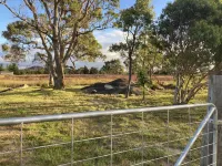 The Farm. Entire house country stay Hotels in Stanthorpe
