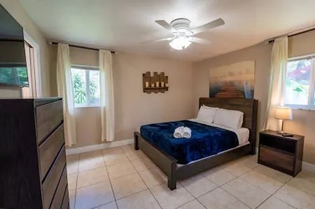 USF Hideaway – Steps from USF & Moffitt, Pet-Friendly 3Br Home with Backyard