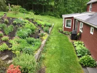 Large, Sunny 4 Bedroom Home Sleeps 8 and 1 minute to Five Fabulous Restaurants Hotels near Walker Road Vineyards LLC