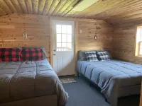 Cozy Little Cabin sleeps 4