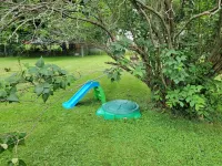 Go Blue! Bright home with large fenced in yard! 3m to Penn State. Free Breakfast