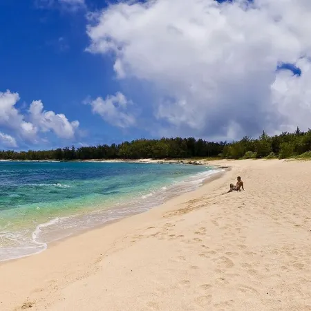 Luxury Ocean Villa 217 at Turtle Bay! Ocean Front!