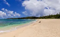 Luxury Ocean Villa 217 at Turtle Bay! Ocean Front! - 빌라