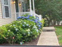Wooded Hillside Retreat in Waldorf, MD - Top 10% and Guest favorite elsewhere