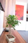 Stylish 2-room apartment with many extras!