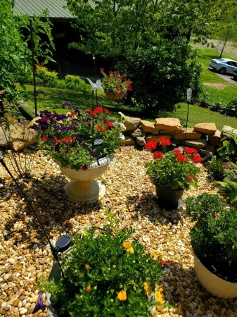 NC mountains near Murphy & Casino