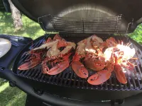 House 80 m from a superb sandy beach Hotels in Cleder