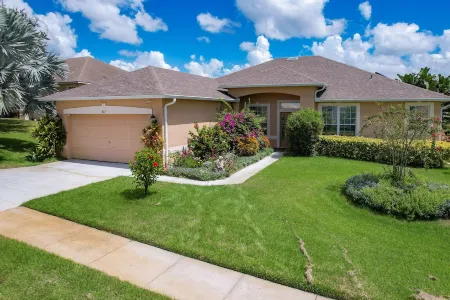 🌺 Beautiful Wildflower Escape🌺