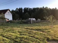 Allgäu peace and serenity in the middle of nature, on a donkey farm